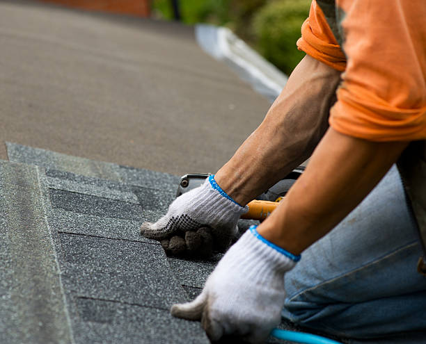 Best Metal Roofing Contractor  in Riverbend, WA